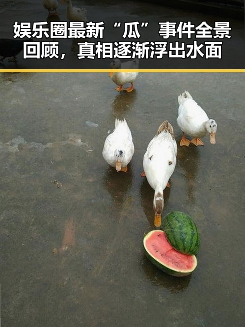 娱乐圈最新“瓜”事件全景回顾，真相逐渐浮出水面